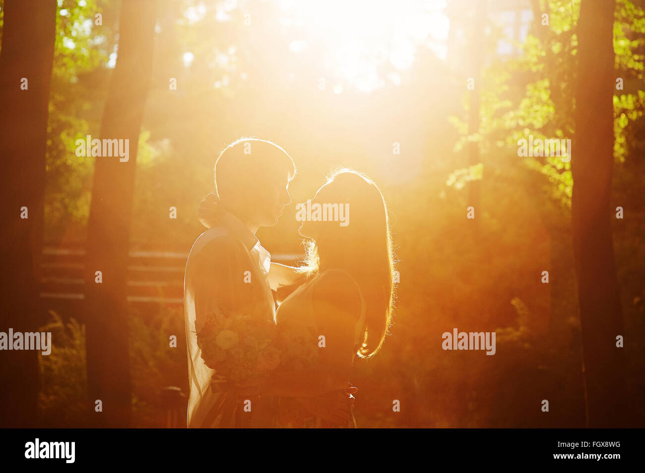 Amante romántico pareja besándose en el parque enfrente de la puesta del sol Foto de stock