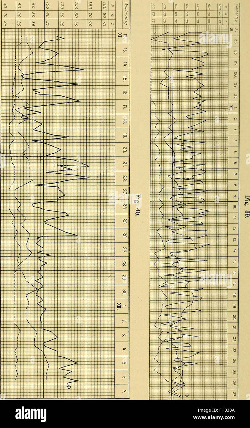 Lehrbuch der des Herzens Krankheiten und der BlutgefC3A4sse (1906) Foto de stock