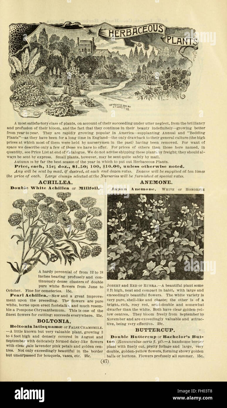 Lovett's catálogo ilustrado de frutales y ornamentales y plantas para el otoño de 1891 Foto de stock