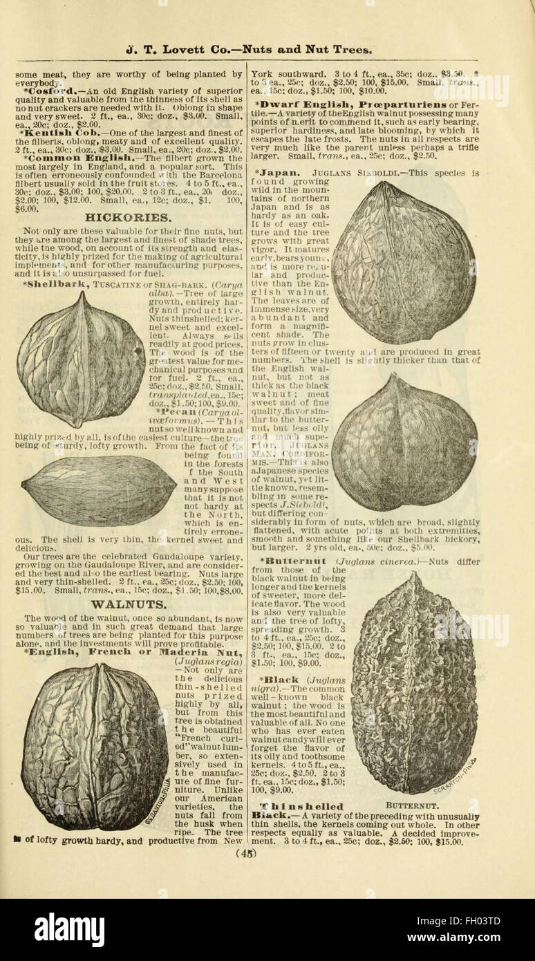 Lovett's catálogo ilustrado de frutales y ornamentales y plantas para el otoño de 1891 Foto de stock