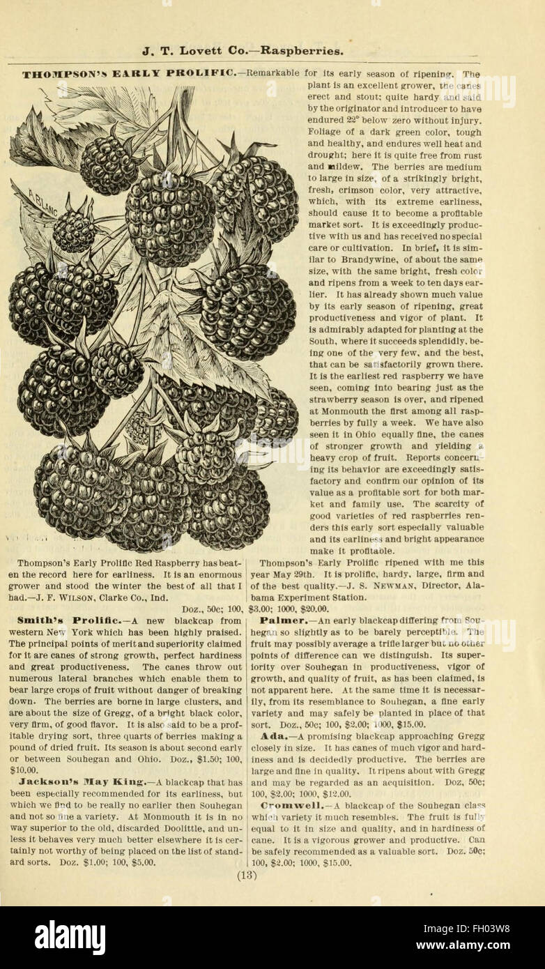 Lovett's catálogo ilustrado de frutales y ornamentales y plantas para el otoño de 1891 Foto de stock