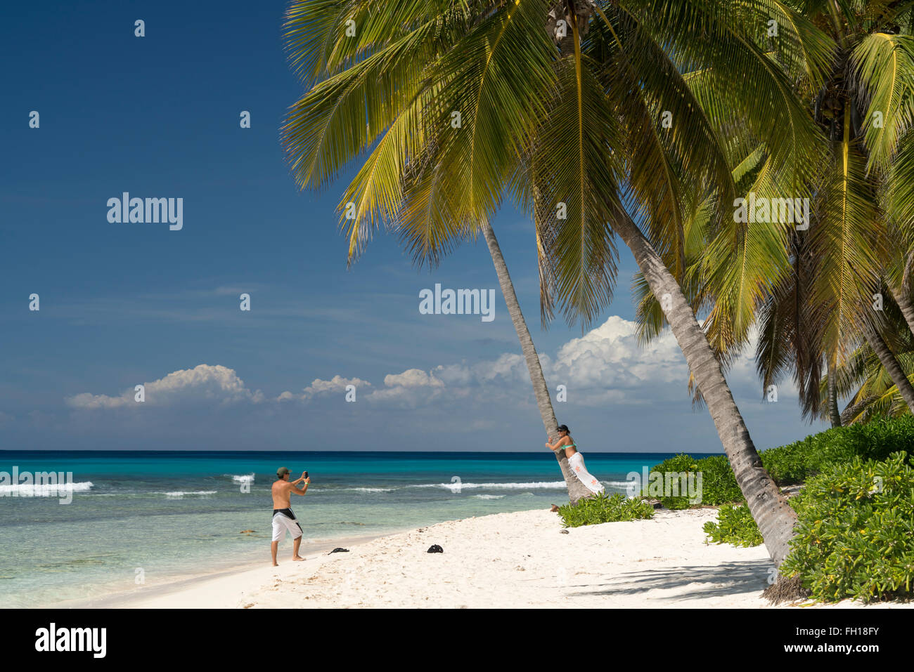 Playa de ensueño en la isla caribeña Isla Saona, República Dominicana, El Caribe, América, Foto de stock