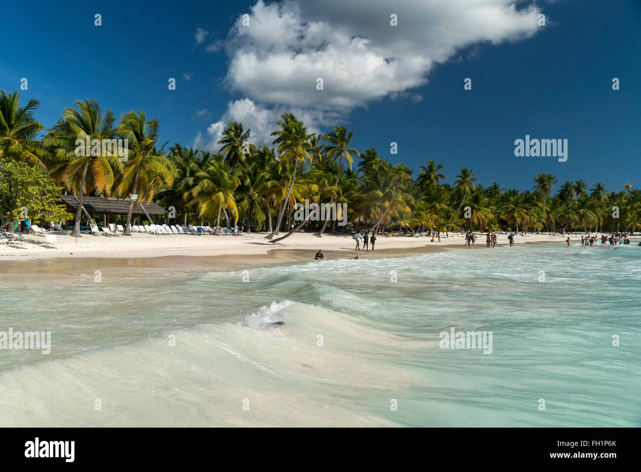 Playa de ensueño en la isla caribeña Isla Saona, República Dominicana, El Caribe, América, Foto de stock