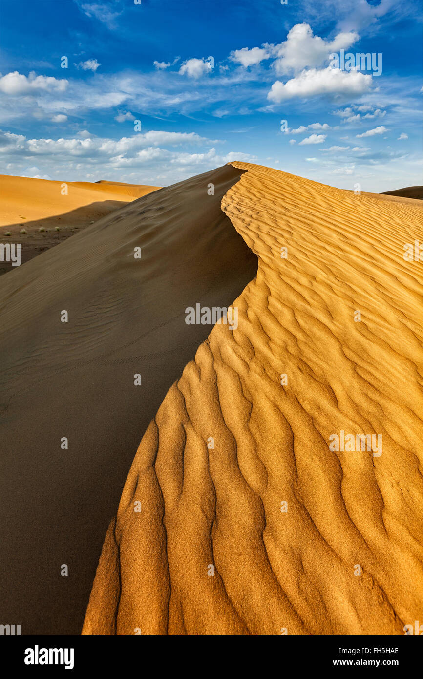 En las dunas en el desierto de Thar Foto de stock