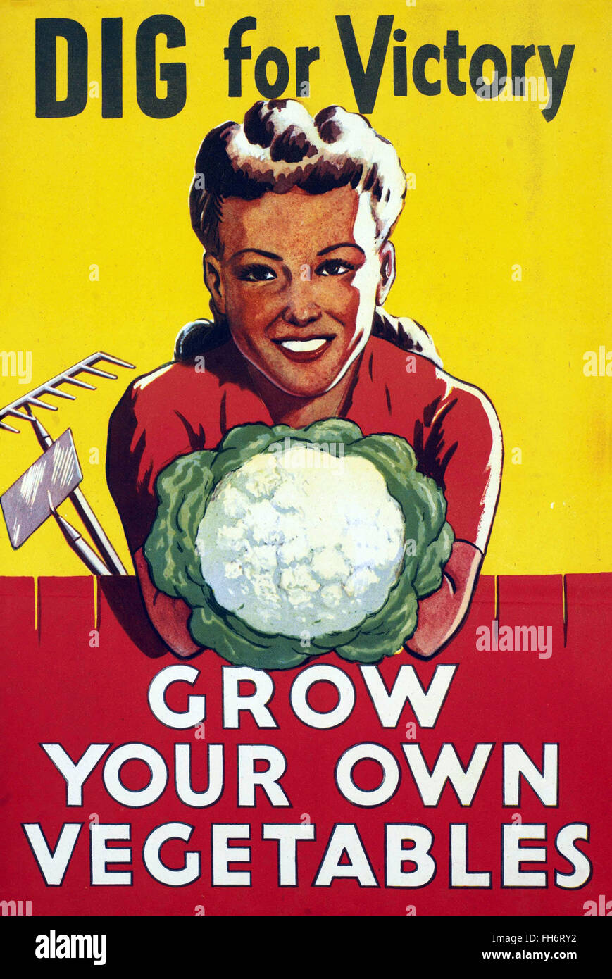 Dig for Victory - Cultive Your Own Vegetables - Cartel de Propaganda de la Segunda Guerra Mundial Británica Foto de stock