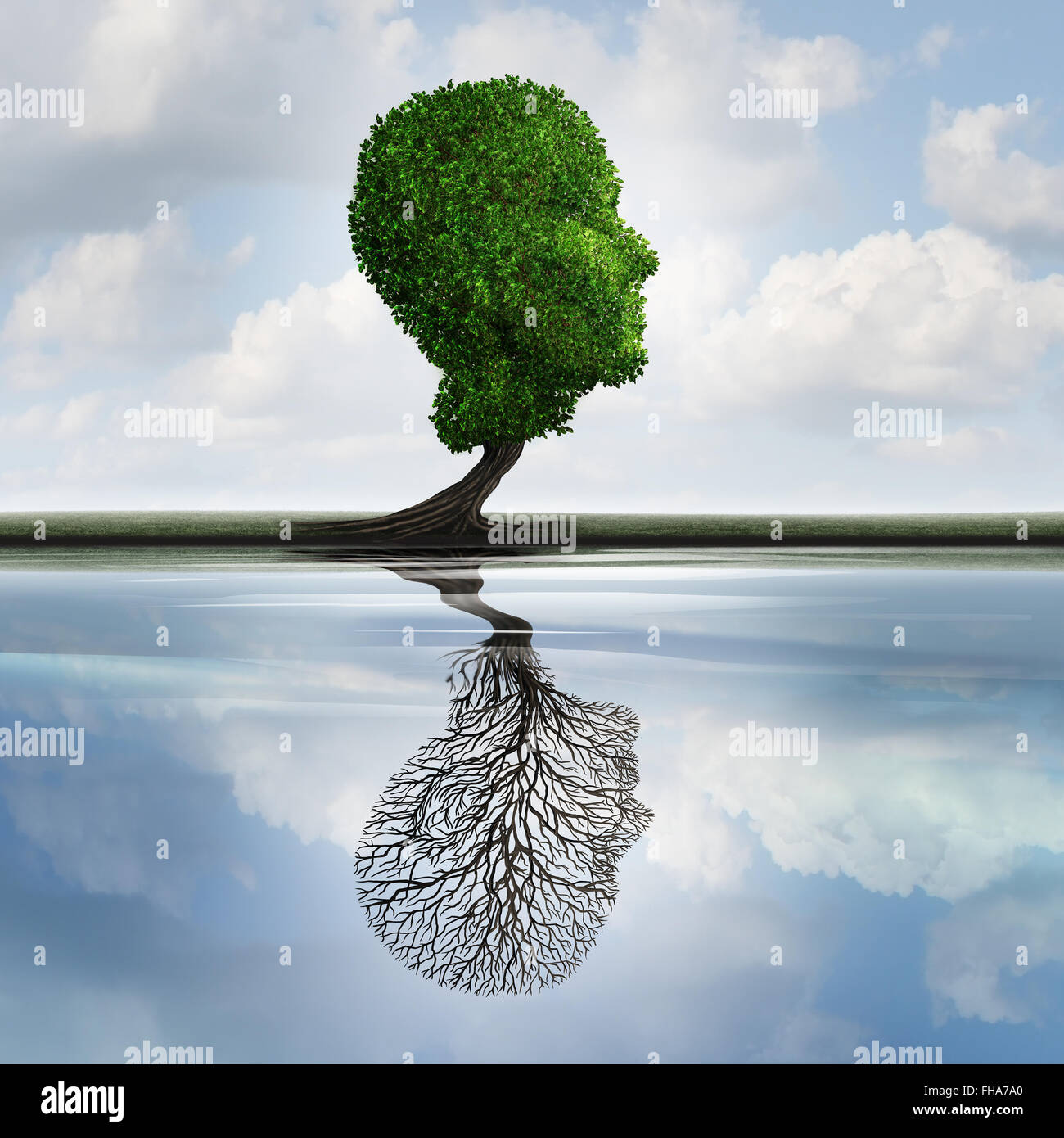 Depresión oculta concepto y sentimientos privados símbolo como un árbol con hojas en forma de cabeza humana con una reflexión sobre el agua con una planta vacía como una idea de psicología interna para visualizar las emociones ocultas. Foto de stock