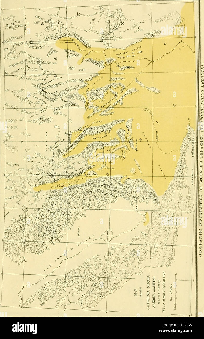 La expedición en el valle de la muerte. Un estudio biológico de partes de California, Nevada, Arizona y Utah (1893) Foto de stock