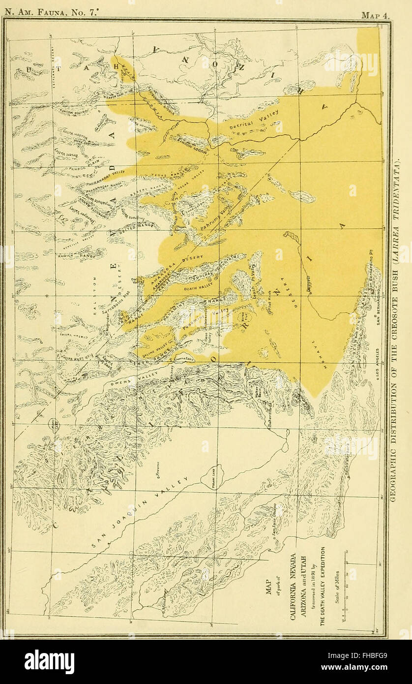 La expedición en el valle de la muerte. Un estudio biológico de partes de California, Nevada, Arizona y Utah (1893) Foto de stock
