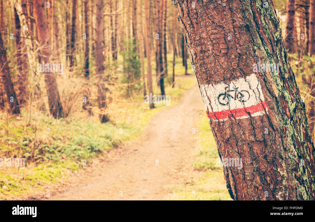 Tonos Retro Bike Trail signo pintado sobre un árbol en el bosque. Foto de stock