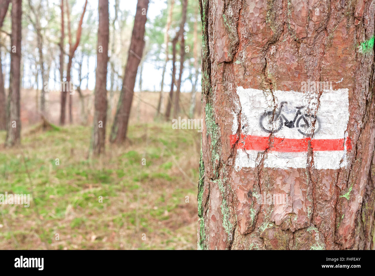 Bike Trail signo pintado sobre un árbol en el bosque. Foto de stock