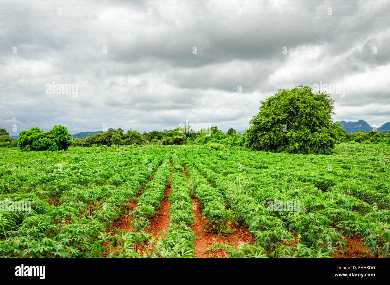 Tailandia landascape típica cerca de Kanchanaburi Foto de stock