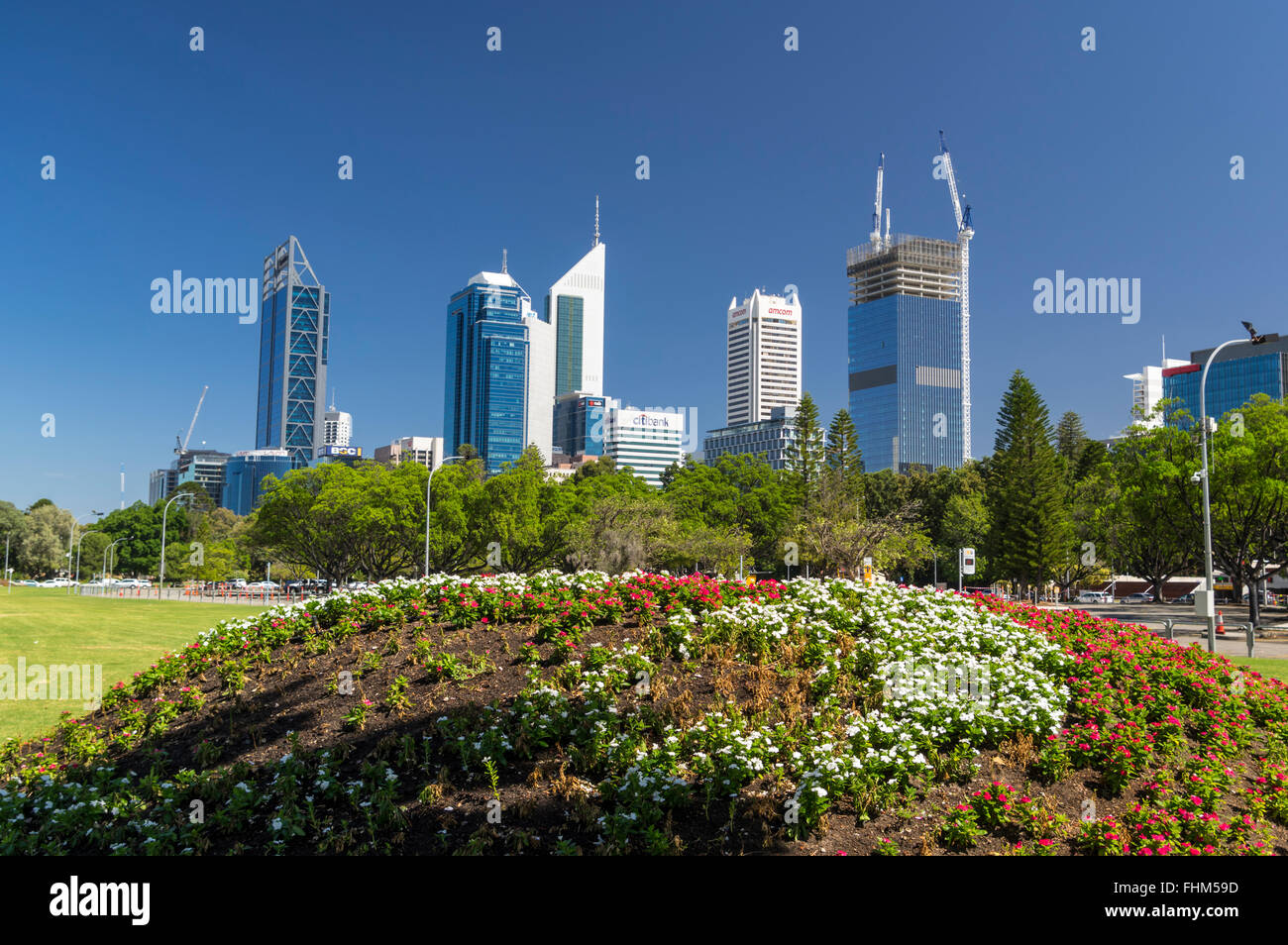 Horizonte de Perth, Australia, detrás de árboles y flores. Foto de stock