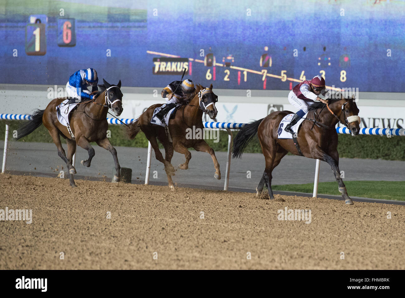 Dubai. 25 de febrero de 2016. Mickael Barzalona paseos Brabbham para ganar los 2000m de purasangres en Meydan del formador Ahmad Bin Harmash en la octava reunión de la Copa del Mundo de Dubai Carnival Credit: Tom Morgan/Alamy Live News Foto de stock