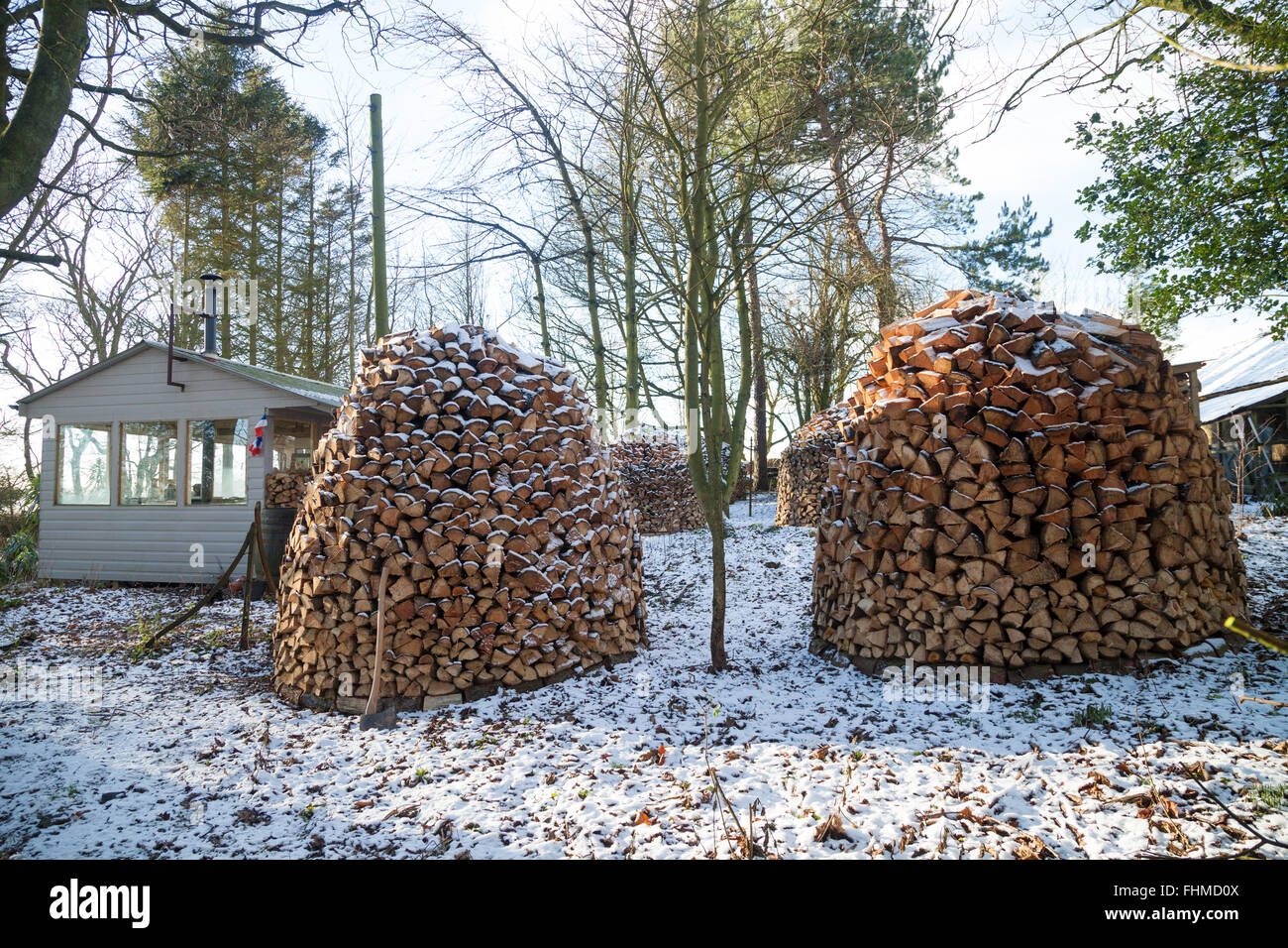Holz Hausen pilas de madera en un jardín de Fife en Escocia. Foto de stock