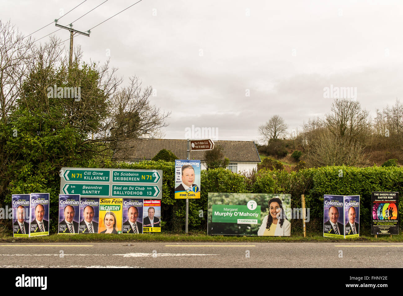Carretera de West Cork carteles de candidatos para la Elección General irlandesa de 2016. Foto de stock