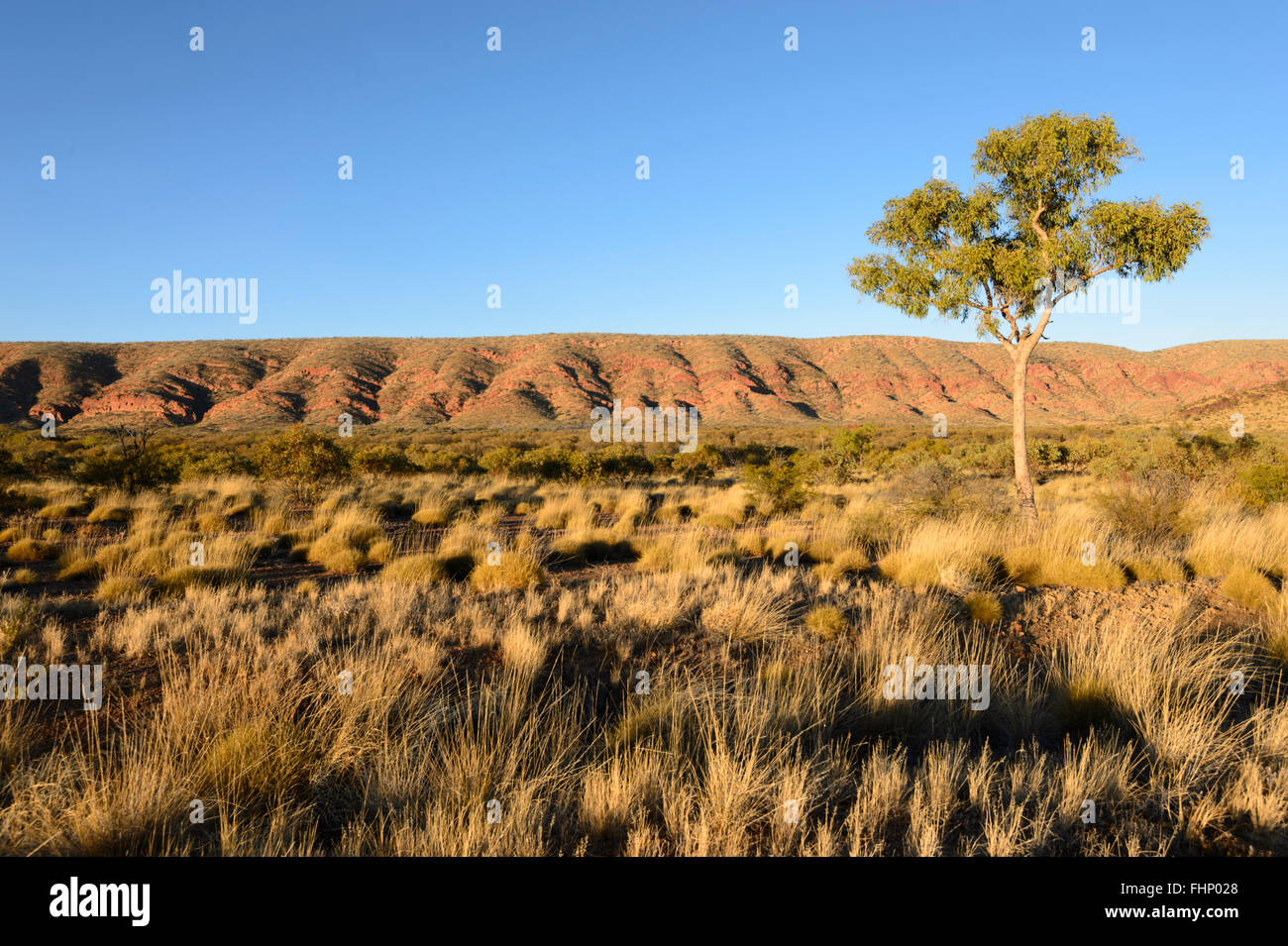 Vista de los West MacDonnell Ranges, Northern Territory, NT, Australia Foto de stock