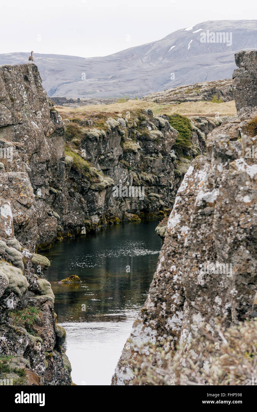 Grieta entre las placas continentales en el Parque Nacional Thingvellir en el Golden Circle en Islandia. Foto de stock