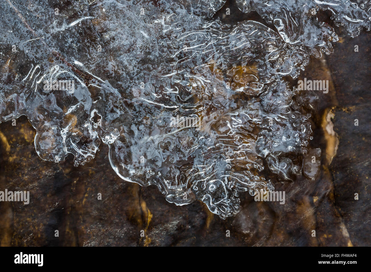 Caprichosas formaciones de hielo que crecen en el borde de un pequeño arroyo, Lago nacional Pictured Rocks, en la Península Superior, Michigan, EE.UU. Foto de stock