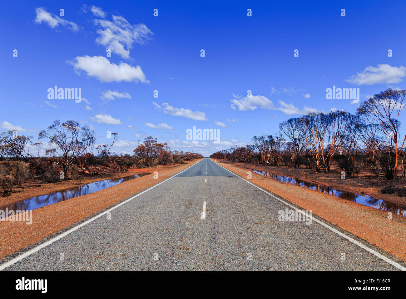 Ancho de carretera sellados vacío en Australia Occidental después de graves incendios destruyendo bosques alrededor de gumtree. La lluvia alivió dichas quemas y Foto de stock