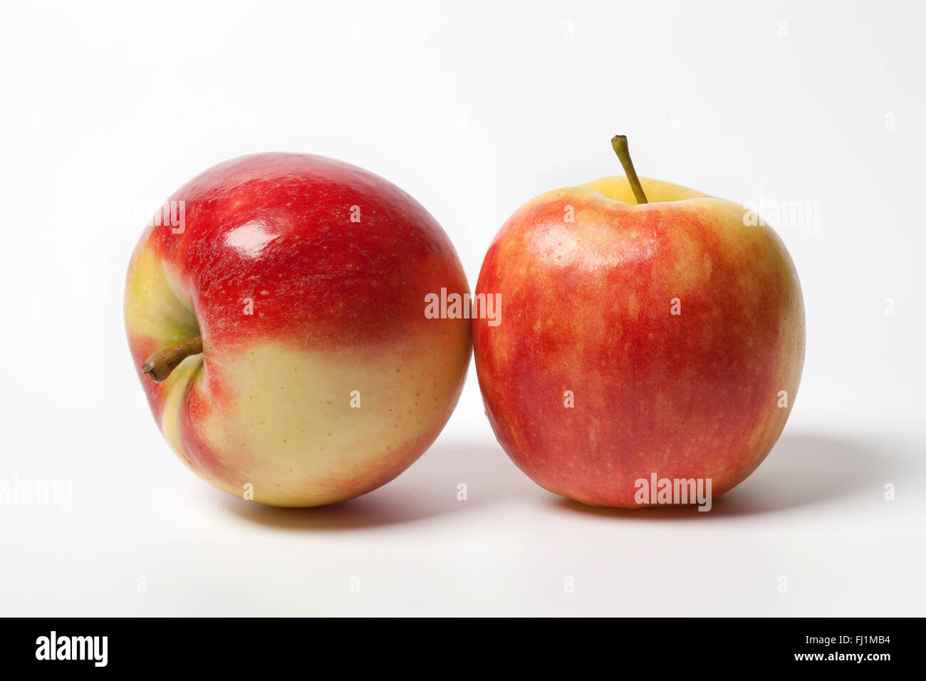 Dos manzanas Elstar entera fresca sobre fondo blanco. Foto de stock