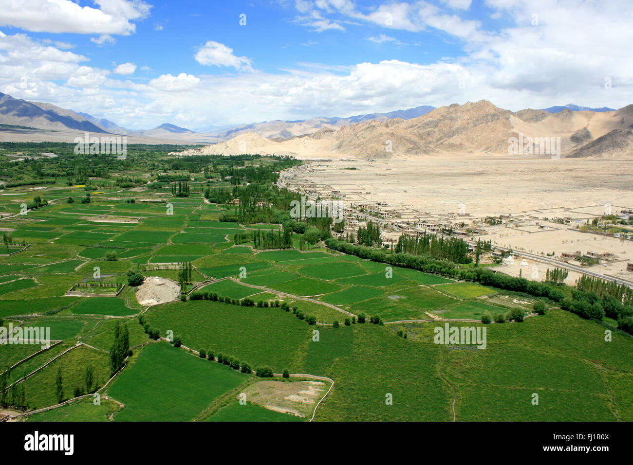 Paisaje de Ladakh, India - con unas vistas increíbles sobre el verde valle del Indo desde el monasterio de Thiksey Foto de stock
