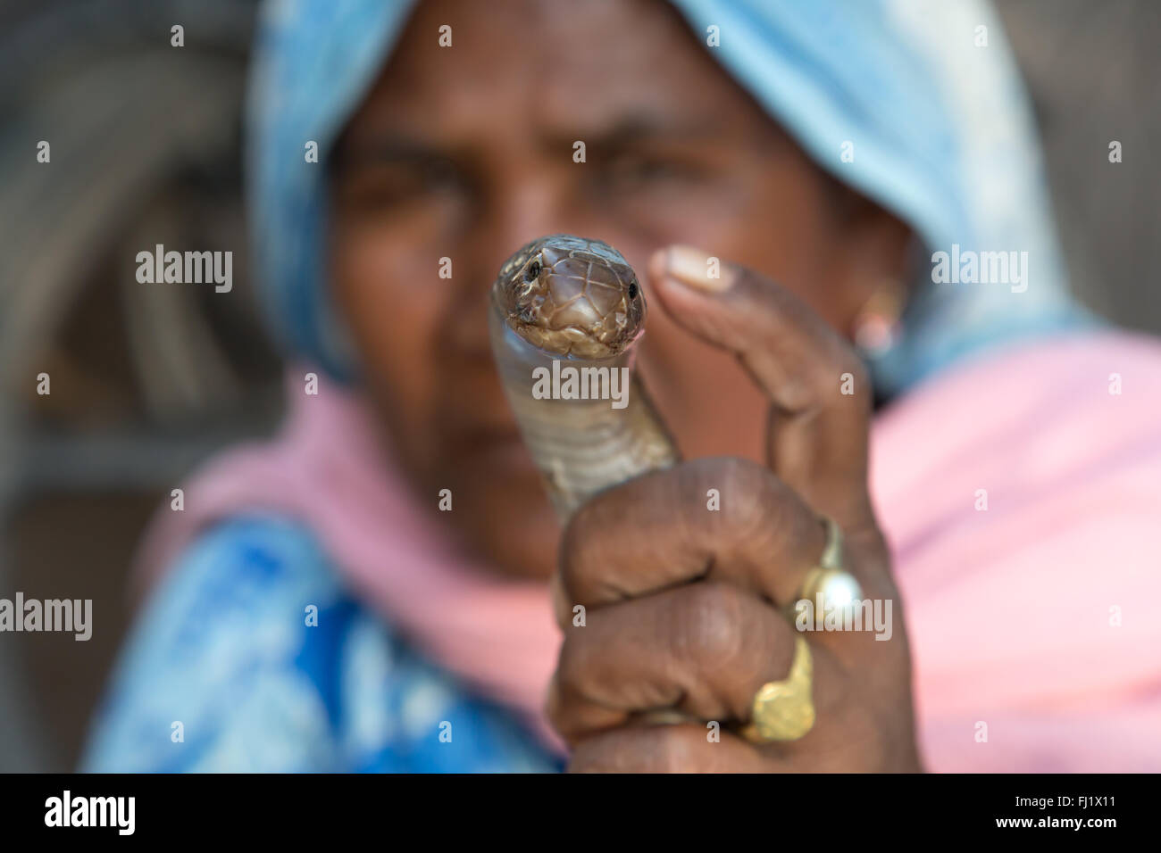 Snake se muestra por la mujer india en Varanasi, India Foto de stock