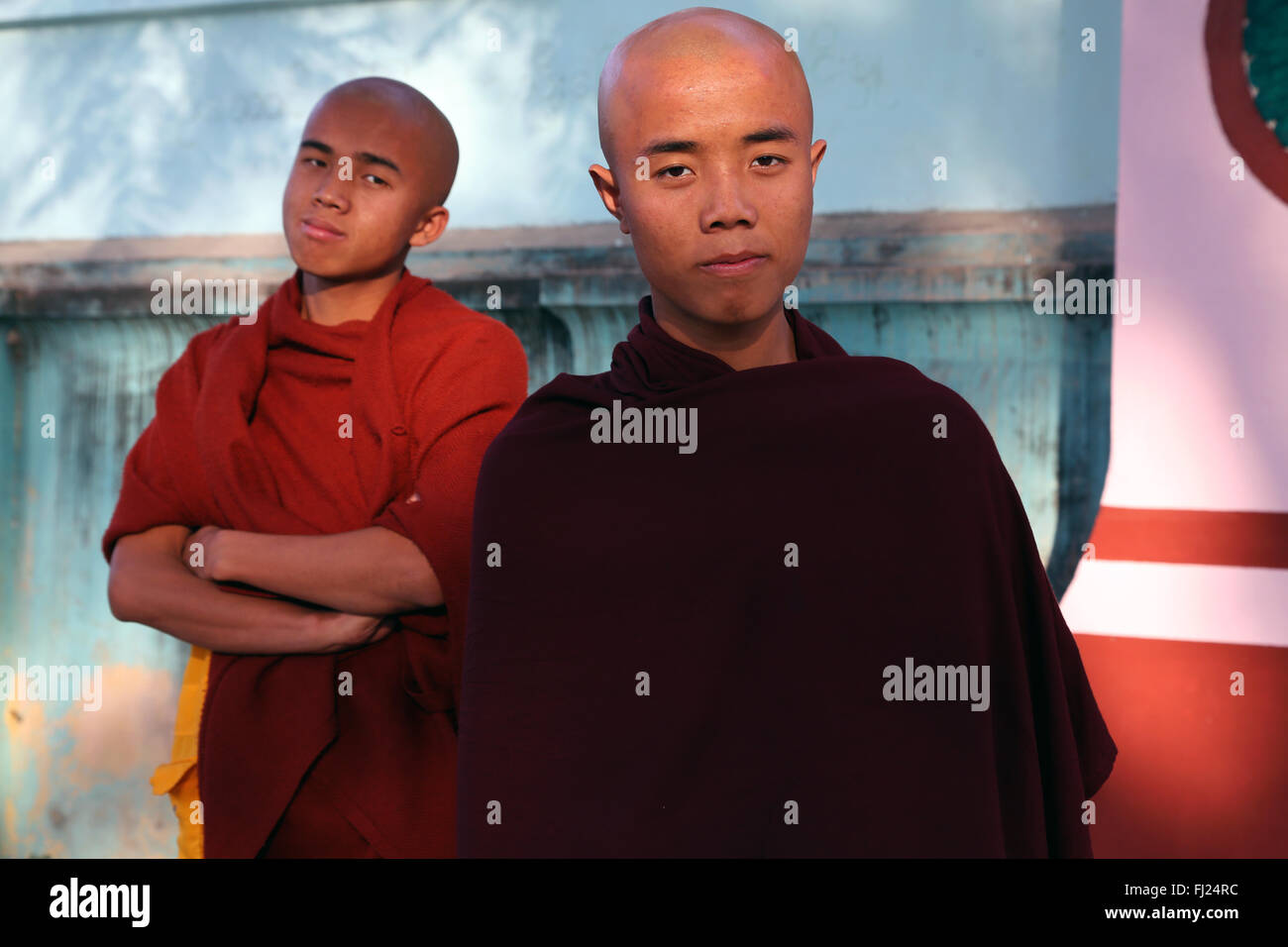 Retrato de monjes budistas calva, Myanmar Foto de stock