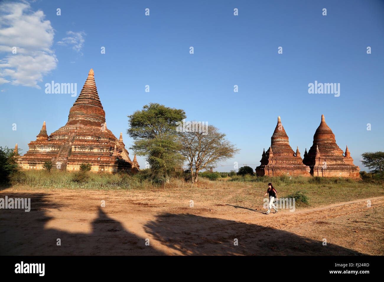Paseos turísticos a lo largo de los templos y pagodas de Bagan, Myanmar Foto de stock
