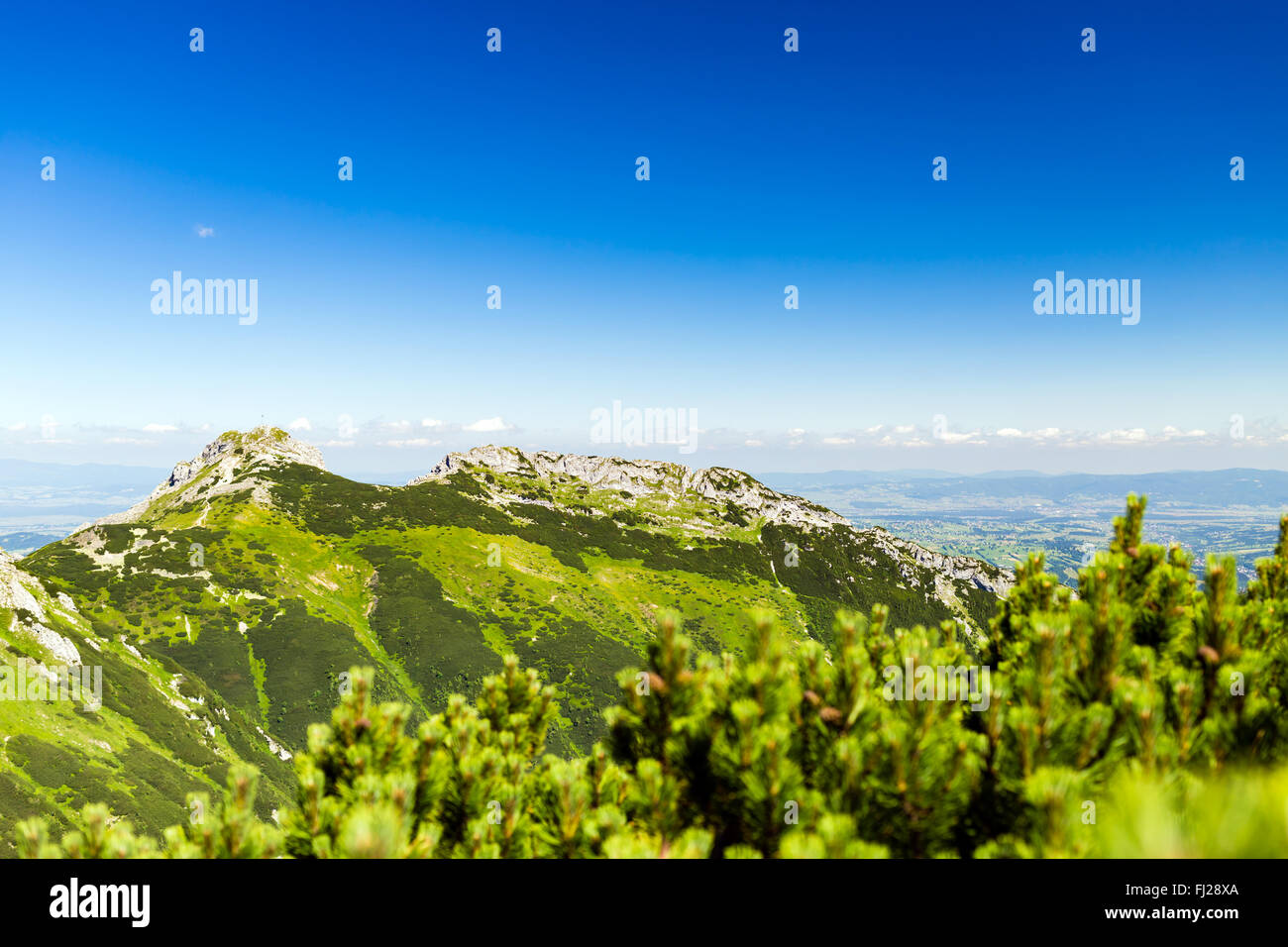 Montañas inspirador paisaje, día soleado en verano Tatras, montaña, sobre azul cielo soleado. Mirando monte Giewont Foto de stock