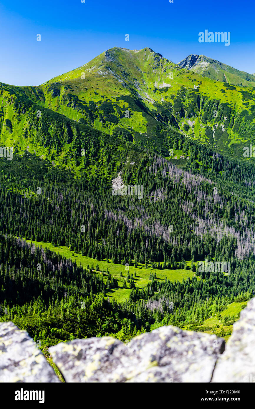 Montañas inspirador paisaje, día soleado en verano Tatras, montaña, sobre azul cielo soleado, Polonia en Europa Foto de stock