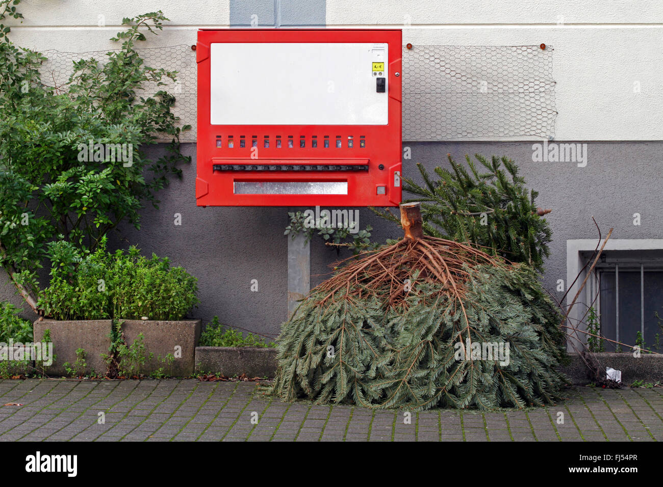 Viejo árbol de Navidad junto al autómata de cigarrillo en la acera, Alemania Foto de stock