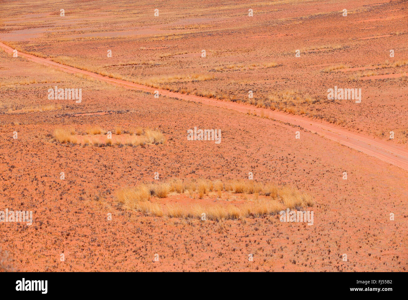 Los círculos de hadas y pista en temporada seca, Namibia, Damaraland, Khorixas Foto de stock