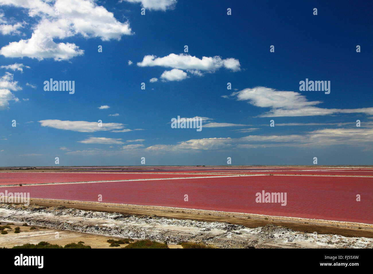 Microorganismos cambiar el color rojo de los estanques de evaporación de sal de una salina cerca de Salin de Giraud, Francia, la Camarga Foto de stock