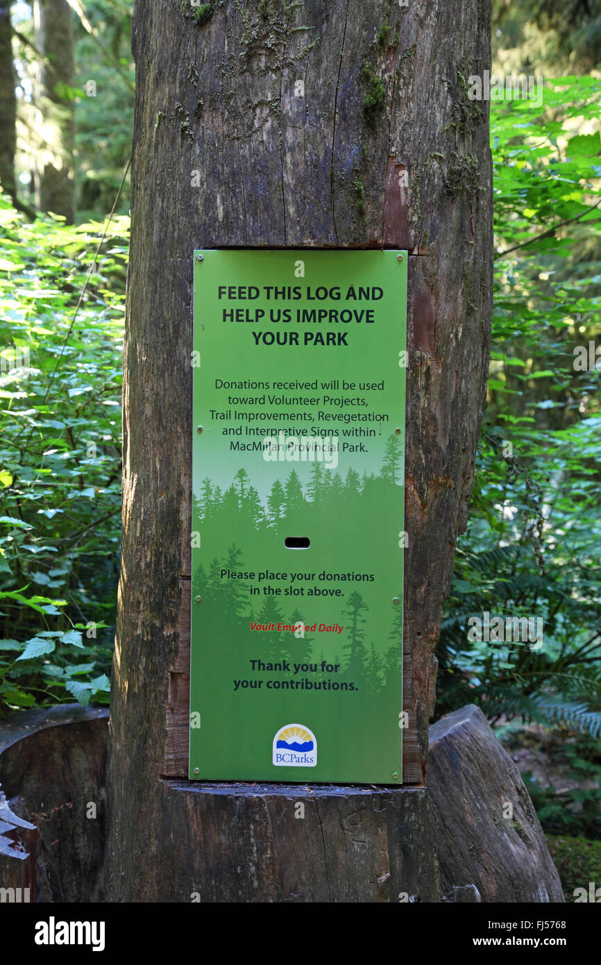 Catedral Rainforest Grove, caja de donación en el tronco de un árbol, Canadá, Columbia Británica, Vancouver Island Foto de stock