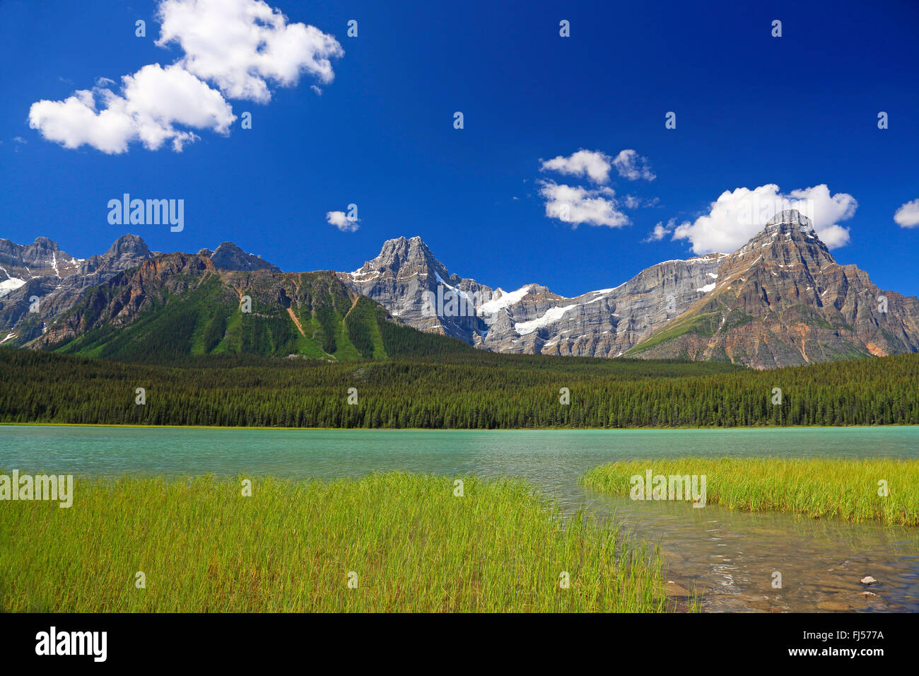 Lago de aves acuáticas en las Montañas Rocosas de Alberta, Canadá, El Parque Nacional Banff Foto de stock