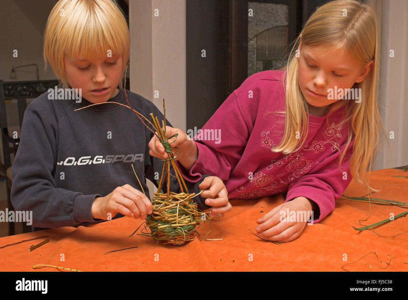 Material de anidación para pelota nido, dos niños trenzando ramas de sauce, Alemania Foto de stock