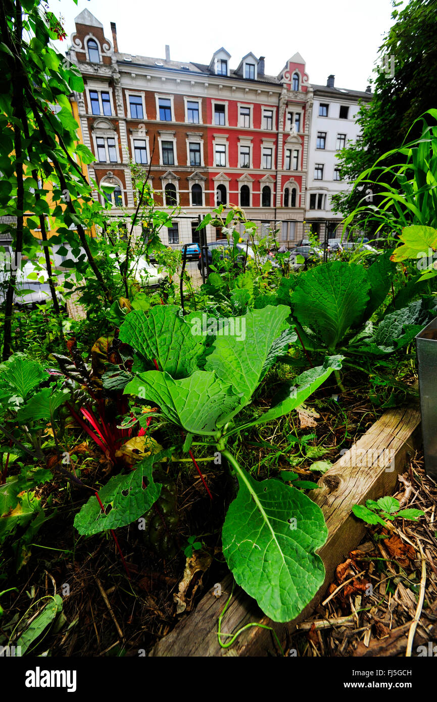 Jardinería urbana en Wuppertal, Alemania, Bergisches Land, Wuppertal-Elberfeld Foto de stock