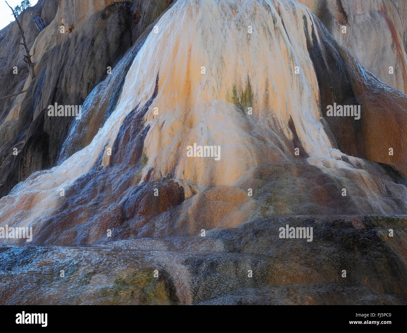 Mammoth Hot Springs, Orange Spring Mound, EE.UU., el Parque Nacional Yellowstone, Wyoming Foto de stock