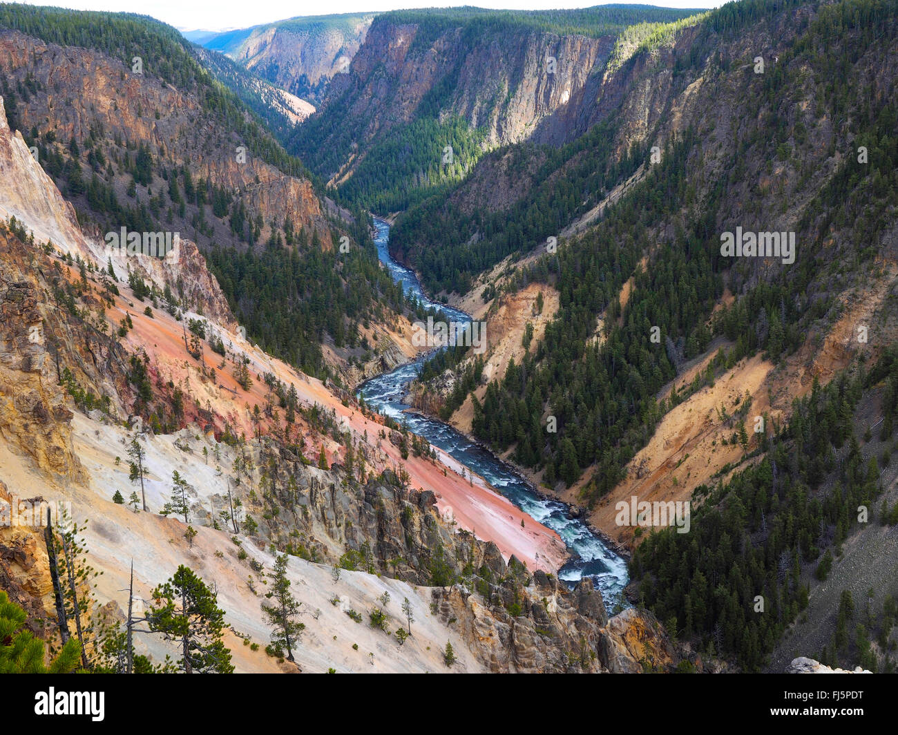 Gran Cañón de Yellowstone, Wyoming, EE.UU., el Parque Nacional de Yellowstone. Foto de stock