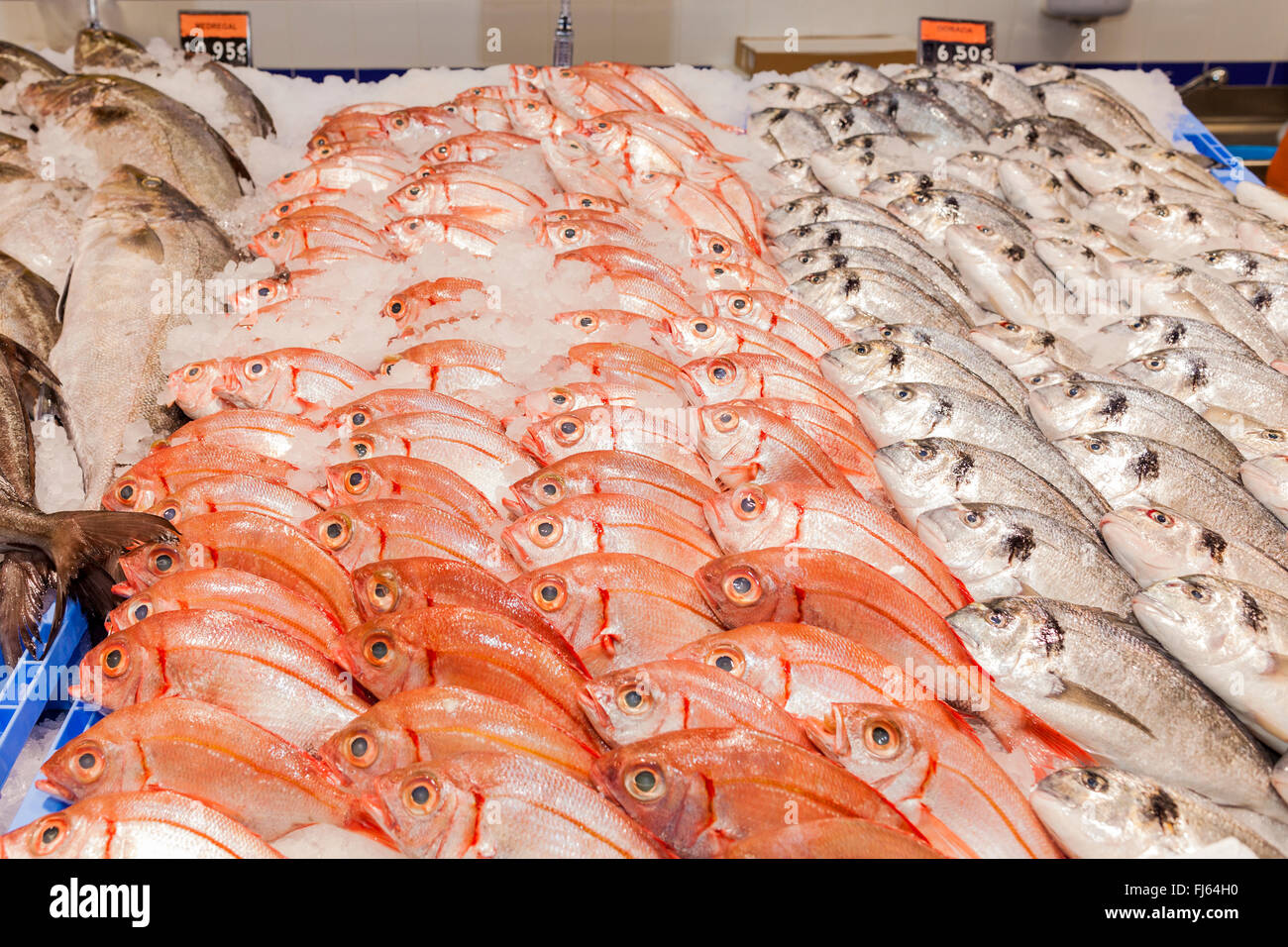 Visualización de pescado fresco en hielo en el supermercado Mercadona,  Puerto Santiago, Tenerife, Islas Canarias, España Fotografía de stock -  Alamy
