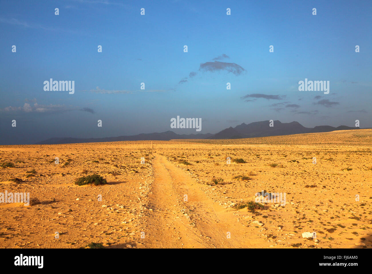 Camino de tierra en un semi desierto Istmo de la pared, semi-desértico, Fuerteventura, Islas Canarias Foto de stock