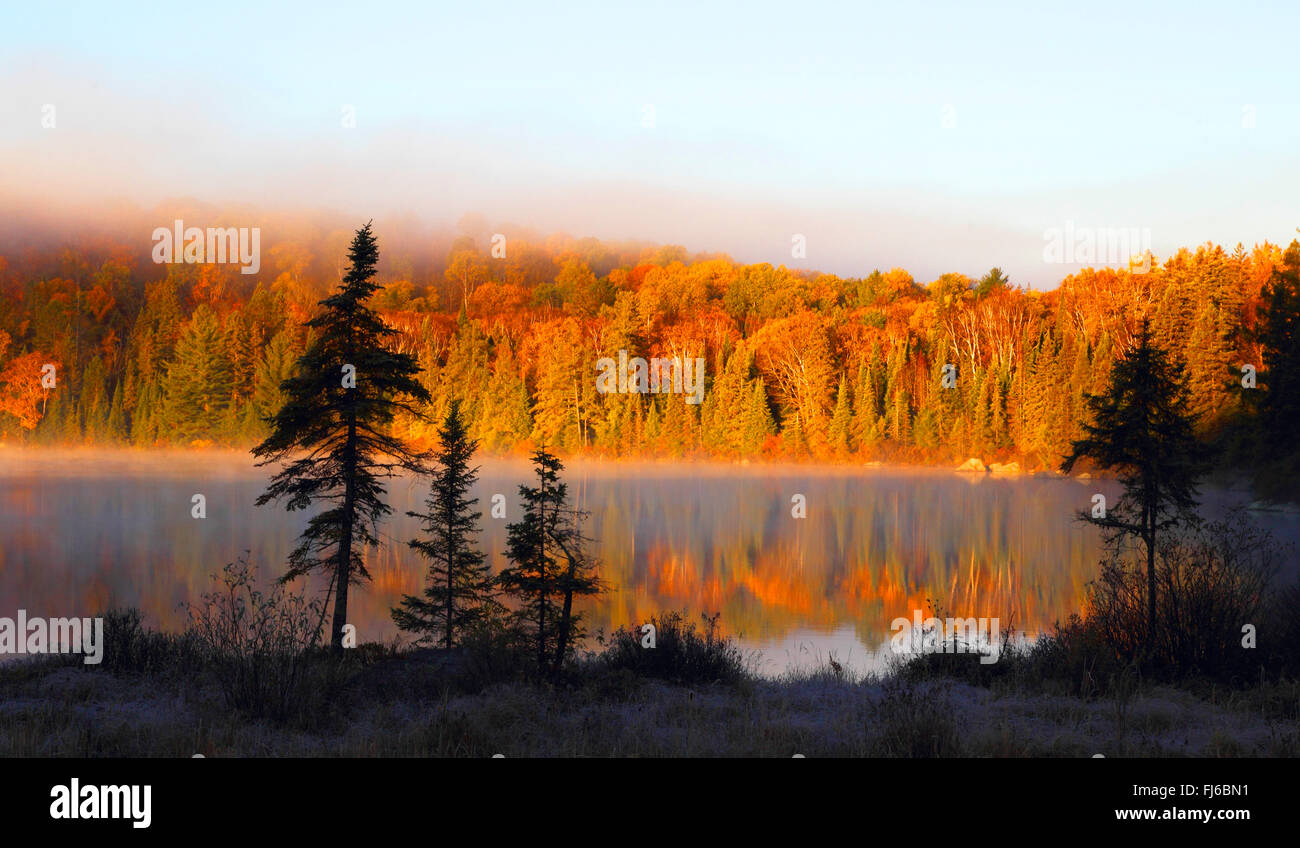 Por la mañana el estado de ánimo en un lago con niebla en otoño, Ontario (Canadá), Algonquin Provincial Park Foto de stock