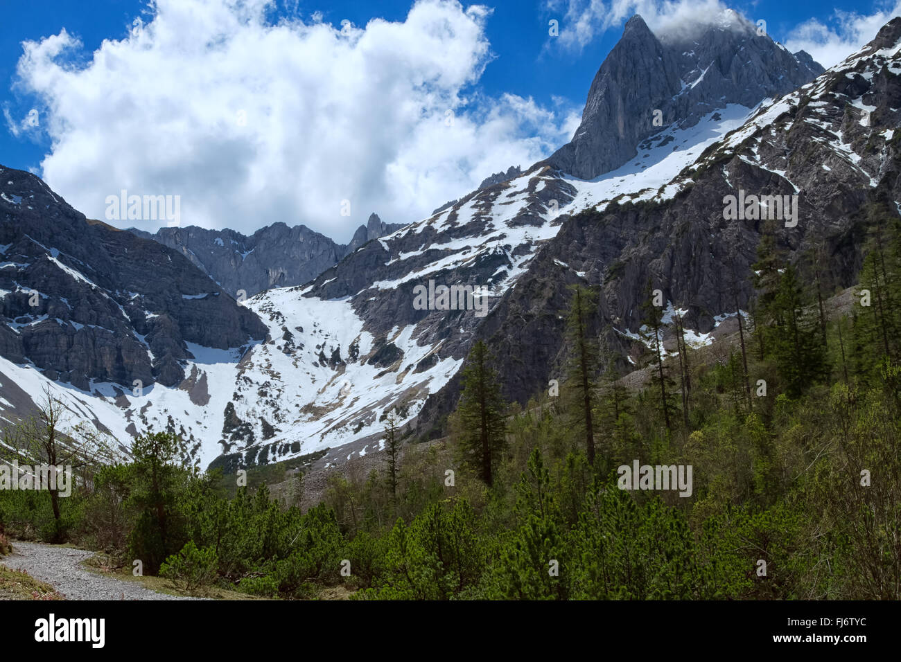 La primavera el paisaje de montaña con verdes bosques y montañas cubiertas de nieve Foto de stock