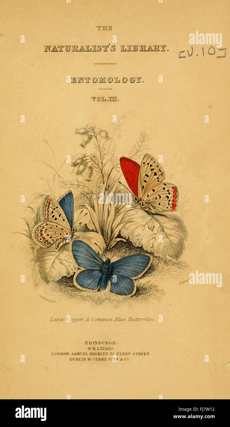 La historia natural de mariposas británicas (Portada Fotografía de stock -  Alamy