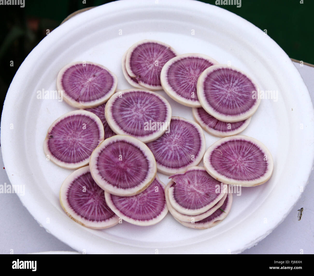 PUSA Jamuni, rábano Raphanus sativus, concretando púrpura variedad de