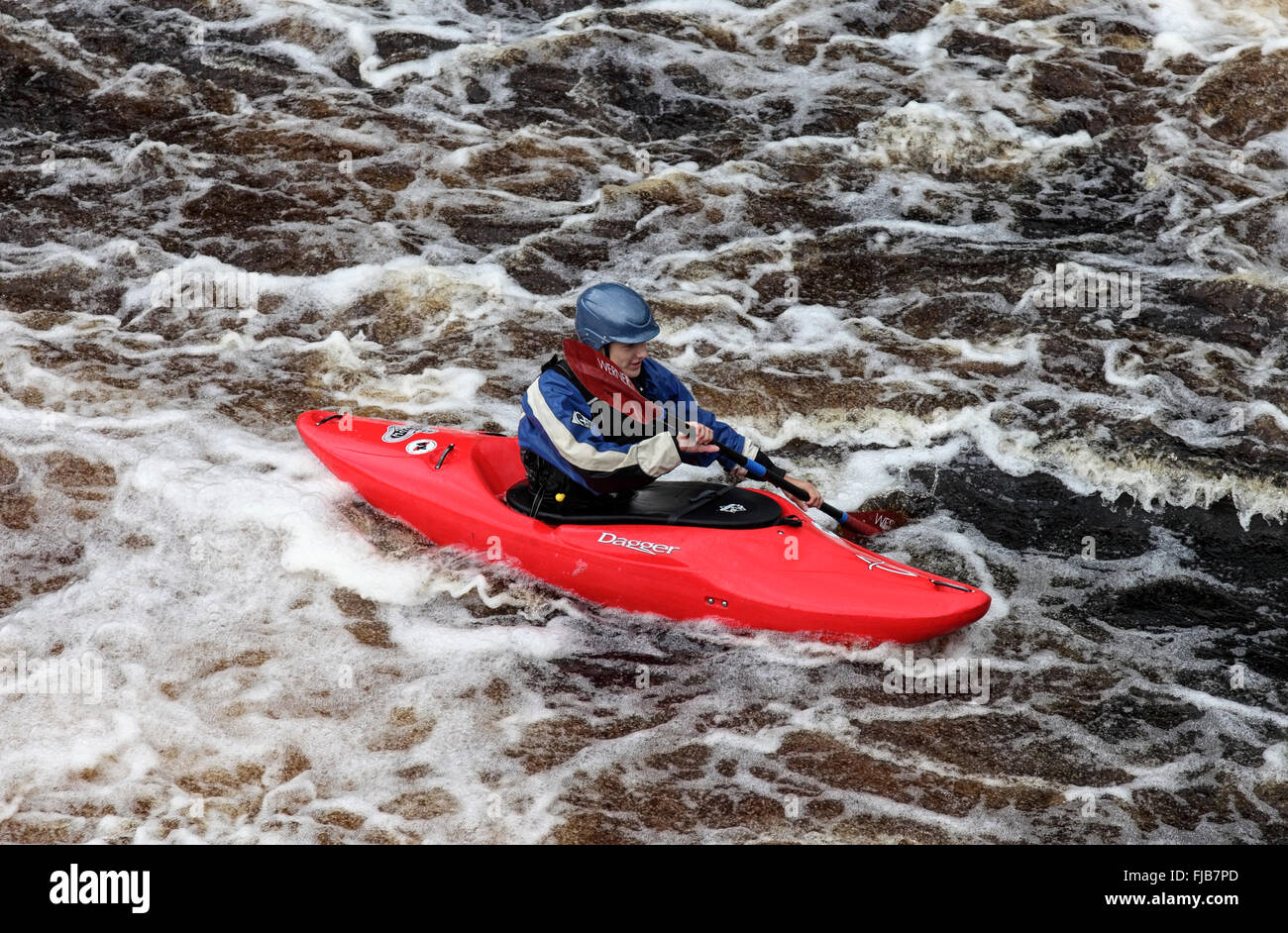 Kayakista en el río Tees a baja fuerza, Bowlees County Durham, Reino Unido Foto de stock