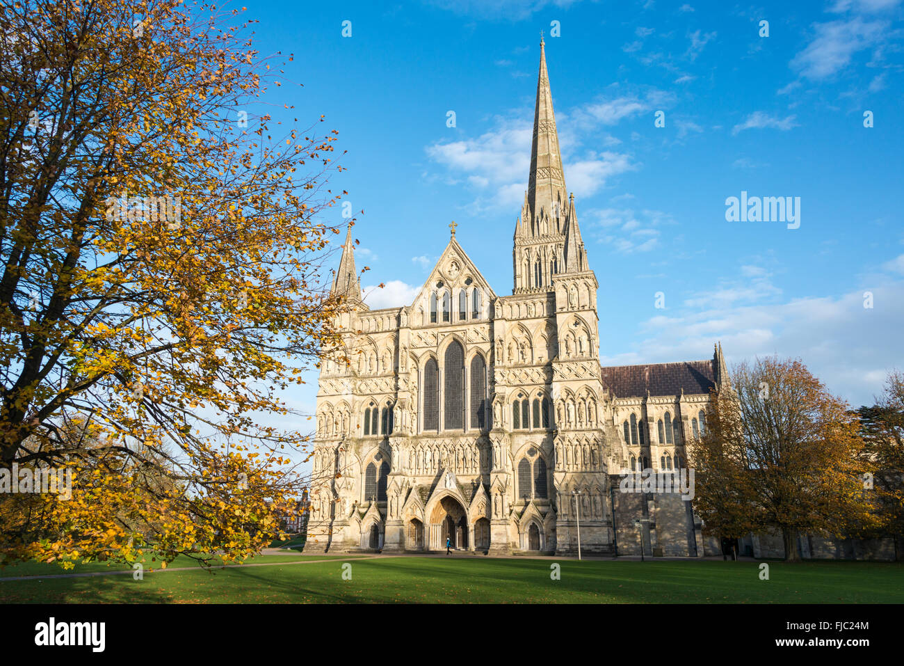 La Catedral de Salisbury, Wiltshire, Inglaterra Foto de stock
