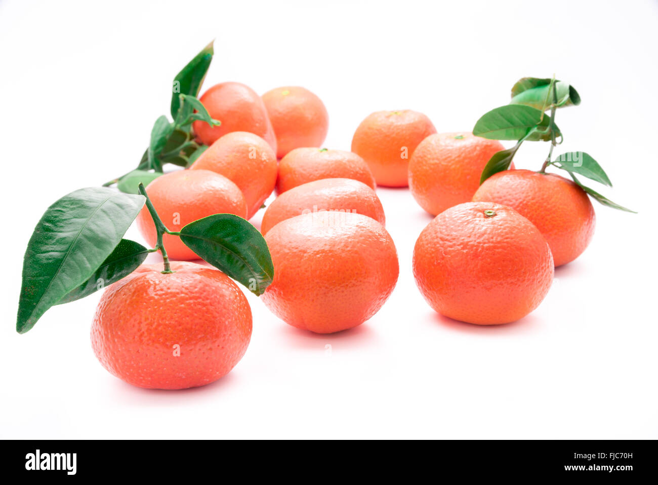 Mandarinas frescas con tallos y hojas verdes Foto de stock