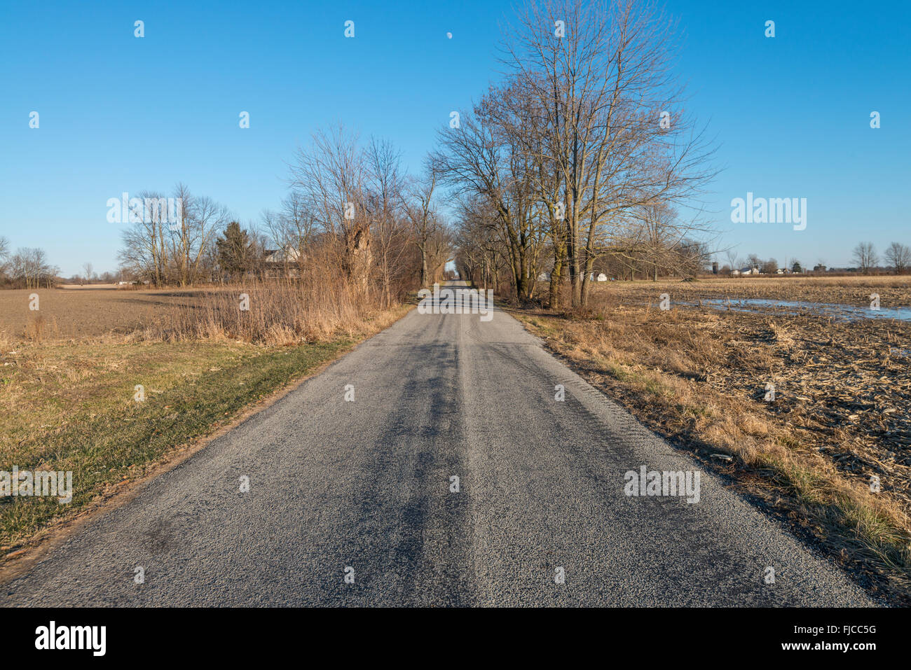 Carretera Rural a través de Maizal en invierno, Indiana, EE.UU. Foto de stock