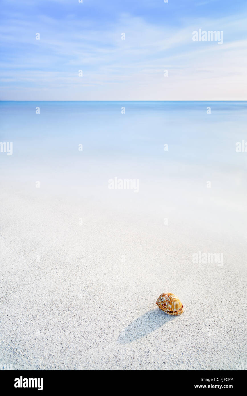 Paisaje Marino del océano. Conchas de moluscos del mar en una playa de arena blanca bajo un cielo azul Foto de stock